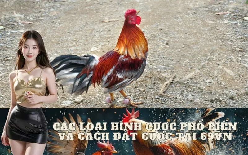 Các loại hình cược phổ biến và cách đặt cược tại 69VN