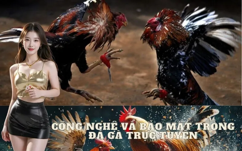 Công nghệ và bảo mật trong đá gà trực tuyến