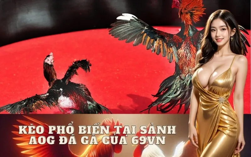 kèo phổ biến tại sảnh AOG Đá Gà của 69vn