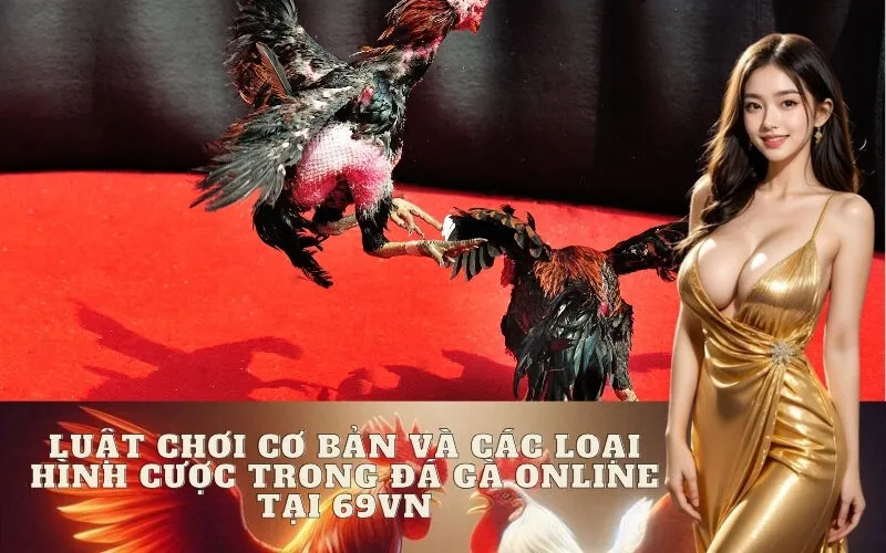 Luật chơi cơ bản trong Đá Gà online tại 69VN